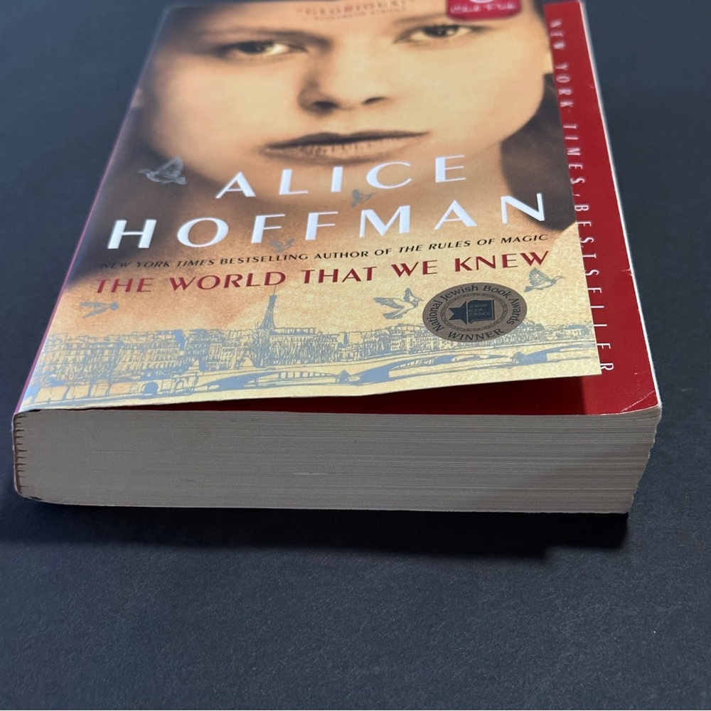 The World That We Knew by Alice Hoffman | Historical Fiction | Paperback Book - Picture 4 of 8